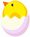 Cartoon new born chicken chick icon poster.