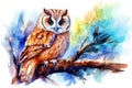 Wild owl forest feather wildlife cute illustration watercolor design nature bird animal art Royalty Free Stock Photo