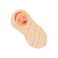 Cartoon nursing baby with pacifier. Cute swaddled newborn toddler. Isolated little child with dummy and diaper. Infant