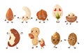 Cartoon nut characters. Cute food mascots. Funny walnut and pistachio. Macadamia or peanut. Hazelnuts set with various