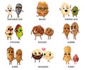 Cartoon nuts. Smiling funny characters with faces nut pecan and almond, macadamia and pistachios, peanut. Hazelnut