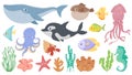 Cartoon ocean animals. Funny blue whale, cute hedgehog fish and orca. Octopus, squid and seahorse. Underwater sea life Royalty Free Stock Photo