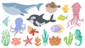 Cartoon ocean animals. Funny blue whale, cute hedgehog fish and orca. Octopus, squid and seahorse. Underwater sea life vector Royalty Free Stock Photo