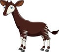 Cartoon okapi isolated on white background