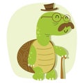 Cartoon old turtle Royalty Free Stock Photo