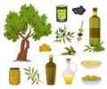 Cartoon olive products. Black and green olives in jars, healthy virgin oil in bottles and bowl. Olive tree and branch