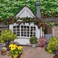 Cartoon one story wooden house overgrown with greenery and flowers in the yard