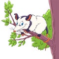 Cartoon opossum animal