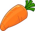 Cartoon Orange Carrot With Green Leaves