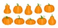 Cartoon orange cute pumpkin clipart collection, fall squash vegetable, autumn farm harvest, Thanksgiving and Helloween