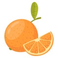 Cartoon orange fruit. Whole citrus fruit and slice, juicy mandarin ÃÂ¾r orange flat vector illustration on white background Royalty Free Stock Photo