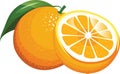 Cartoon orange with a green leaf orange and yellow half an orange vector illustration