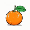 Colorful Hand Drawn Tangerine Vector Illustration