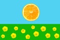 Cartoon with orange slice as sun on blue sky background green grass with yellow flowers. Creative poster banner for kids Royalty Free Stock Photo