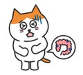 Cartoon orange tabby cat having lower abdominal pain, vector illustration.