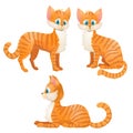 Cartoon orange tabby cat set