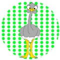 Cartoon Ostrich