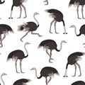 Cartoon Ostrich Bird Seamless Pattern Background. Vector Royalty Free Stock Photo