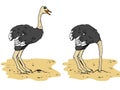 Cartoon ostrich with head below Royalty Free Stock Photo