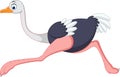 Cartoon ostrich running Royalty Free Stock Photo