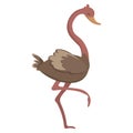 Cartoon ostrich. Vector illustration of a cute ostrich. Drawing birds for children. Zoo for kids.