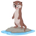 Cartoon otter standing on the stone