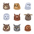 Cartoon owl birds heads. Wild forest owls faces, adorable feathered owls avatars flat vector illustration collection on white