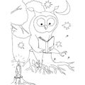 Cartoon owl with book sitting on stump, cup of coffee, moon, stars