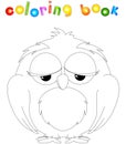 Cartoon owl coloring book