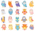 Cartoon owl. Cute color owls, forest birds and hand drawn baby owl vector illustration set