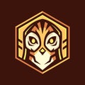 Owl head hexagon logo design Royalty Free Stock Photo