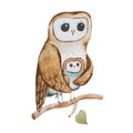 Cartoon owl mother covering owlet with wings sitting on tree branch hand-drawn