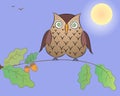 Cartoon an owl on an oak branch.