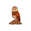 Cartoon owl sitting on tree branch vector design Royalty Free Stock Photo