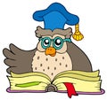 Cartoon owl teacher with book Royalty Free Stock Photo