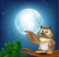 Cartoon owl on a tree branch in the night