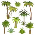 Cartoon palm tree. Jungle palm trees with green leaves, exotic hawaii forest, miami greenery coconut beach palms Royalty Free Stock Photo
