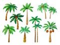 Cartoon palm tree. Jungle palm trees with green leaves, coconut beach palms isolated vector Royalty Free Stock Photo