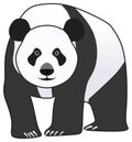 Cartoon panda character vector drawing on isolated white background. face with black spots eyes Royalty Free Stock Photo