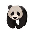Cartoon panda chinese character. Vector flat illustration. Royalty Free Stock Photo