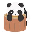 Cute Cartoon Baby Panda. Panda lying on wood for rest, sleeping on trunk