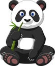 Cartoon panda eating bamboo Royalty Free Stock Photo