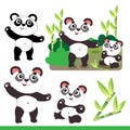 Cartoon panda with little cub and bamboo or sugar cane. Animals. Zoo. Colorful vector illustration set for kids Royalty Free Stock Photo