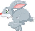 Cartoon panic bunny running isolated on white background