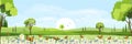 Cartoon panorama of natural Spring field with butterfly flying over daisy flowers,Beautiful scene of countryside in Sunny day Royalty Free Stock Photo