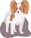 Cartoon papillon dog isolated on white background. Cute vector little pet. Domestic animal Royalty Free Stock Photo