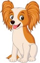 Cartoon papillon dog isolated on white background Royalty Free Stock Photo