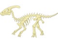 Cartoon Parasaurolophus skeleton