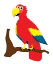 Cartoon parrot Royalty Free Stock Photo