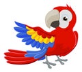 Cartoon Parrot Character Royalty Free Stock Photo